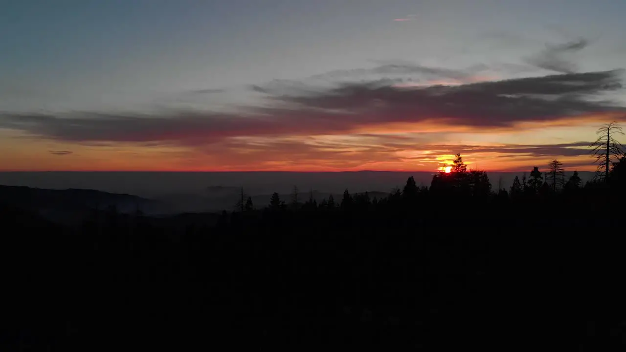 Drone Forest Sunset Silhouetted Trees