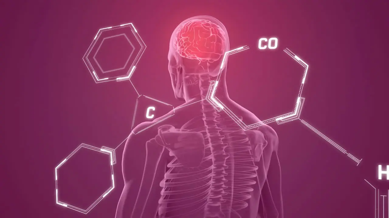 Animation of data processing and chemical formula over digital human with brain