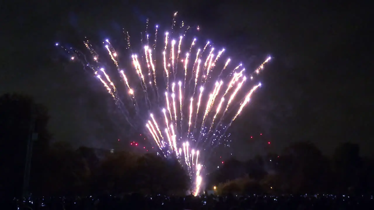 Beautiful fireworks display in Battersea Park to celebrate Guy Fawkes bonfire night