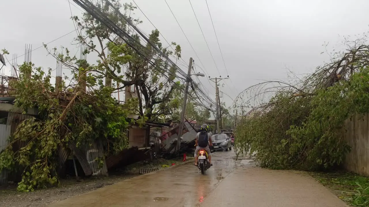 Broken trees partially block the road after Typhoon Rai hit Cebu City