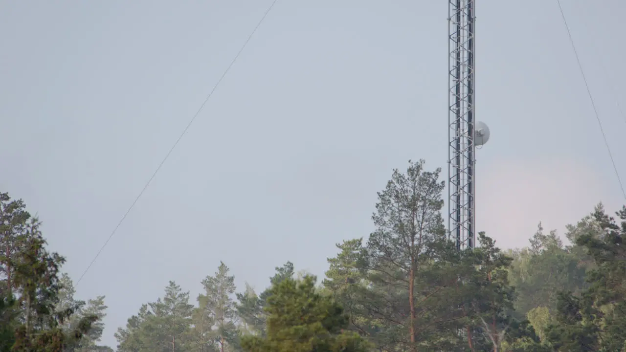 Juxtaposition of mast steel structure sticking into sky above natural treeline