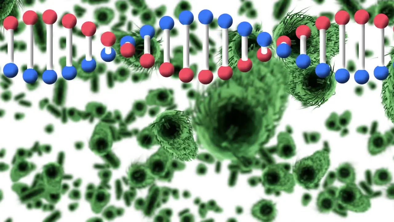 Animation of dna strand rotating over covid cells and blood cells on white background