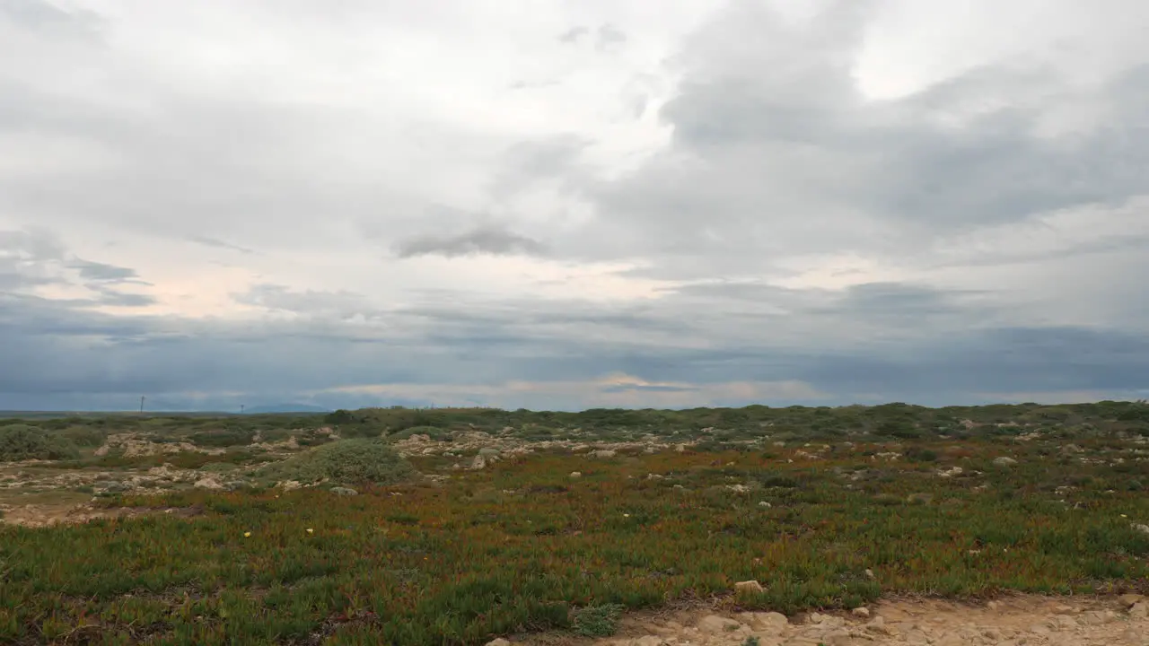 Plateau with vegetation