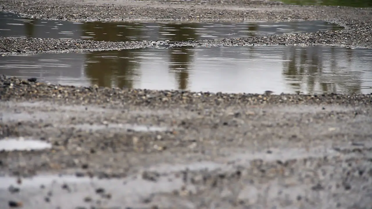 Rain Lands on Puddle on Gravel Path