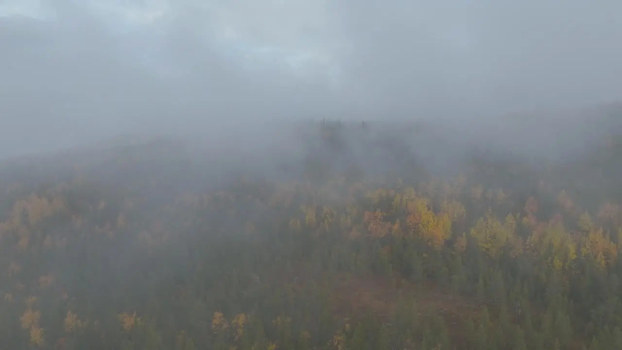 Drone shot in the clouds over the forrest in Norway on a autumn day