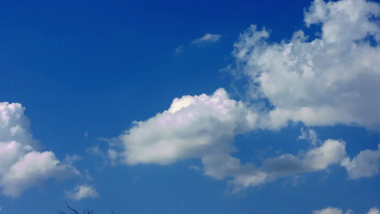 Time-lapse on blue sky in a beautiful day-1