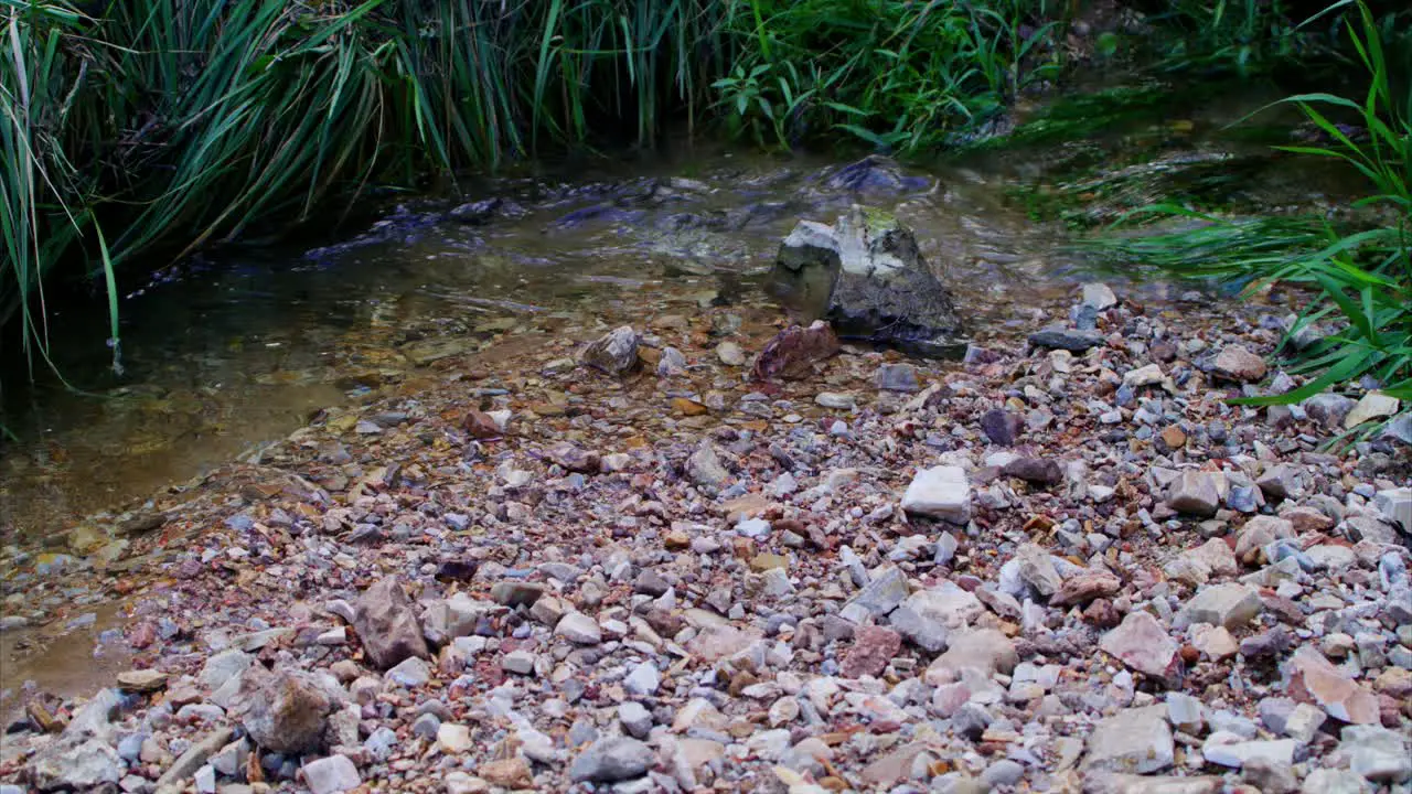 Flowing River with Vibrant Rocks and Green Grass