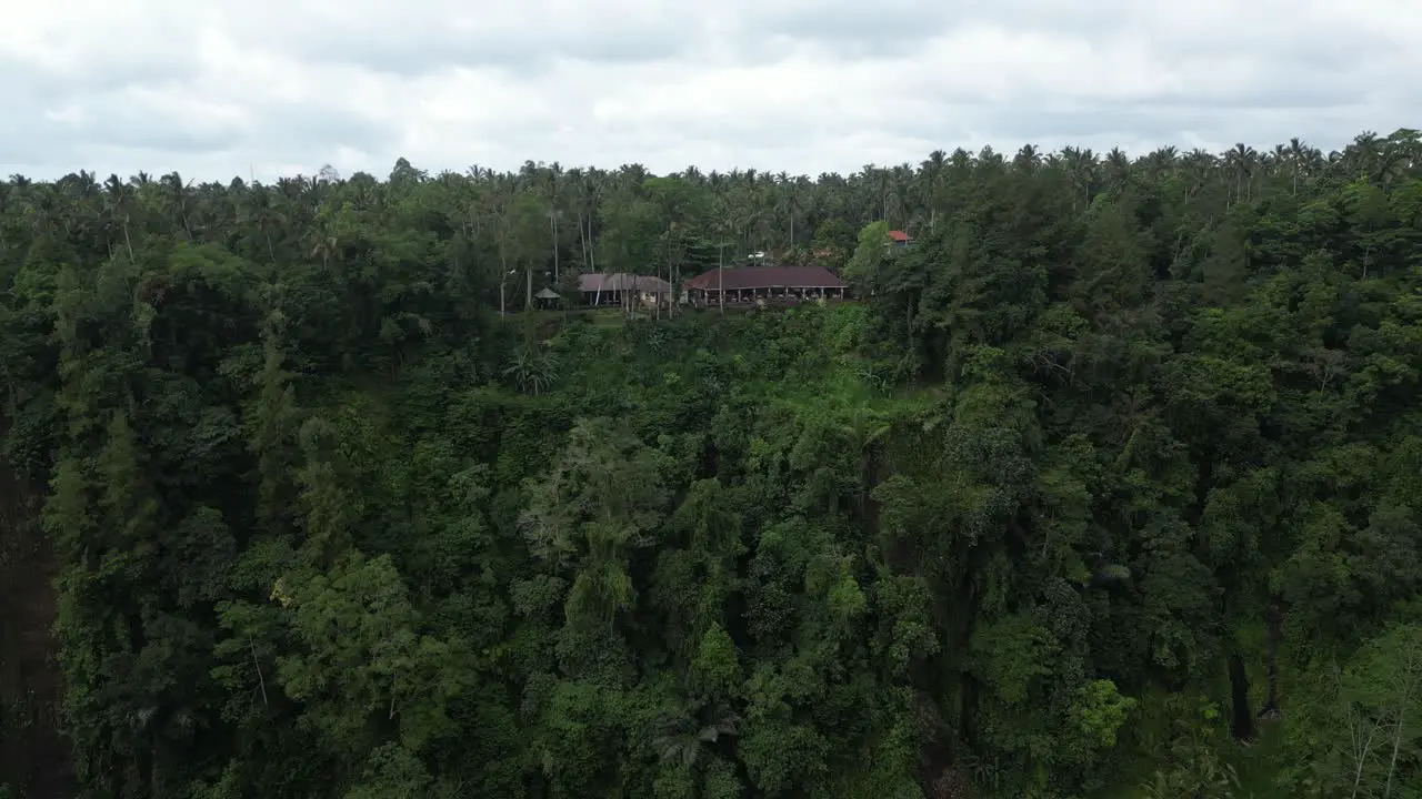 Closing in on coconut trees and jungle landscape in the East of Bali Indonesia