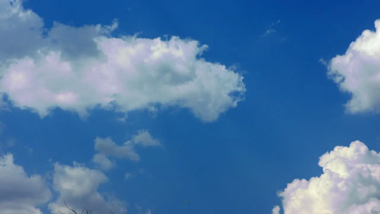 Time-lapse on blue sky in a beautiful day