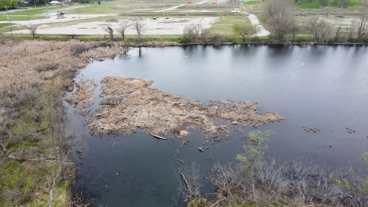 Drone descending near a small swampy outlet of water