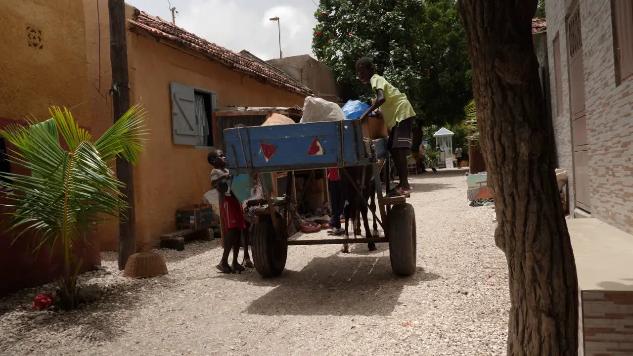 Three kids load rubbish onto a cart pulled by a donkey