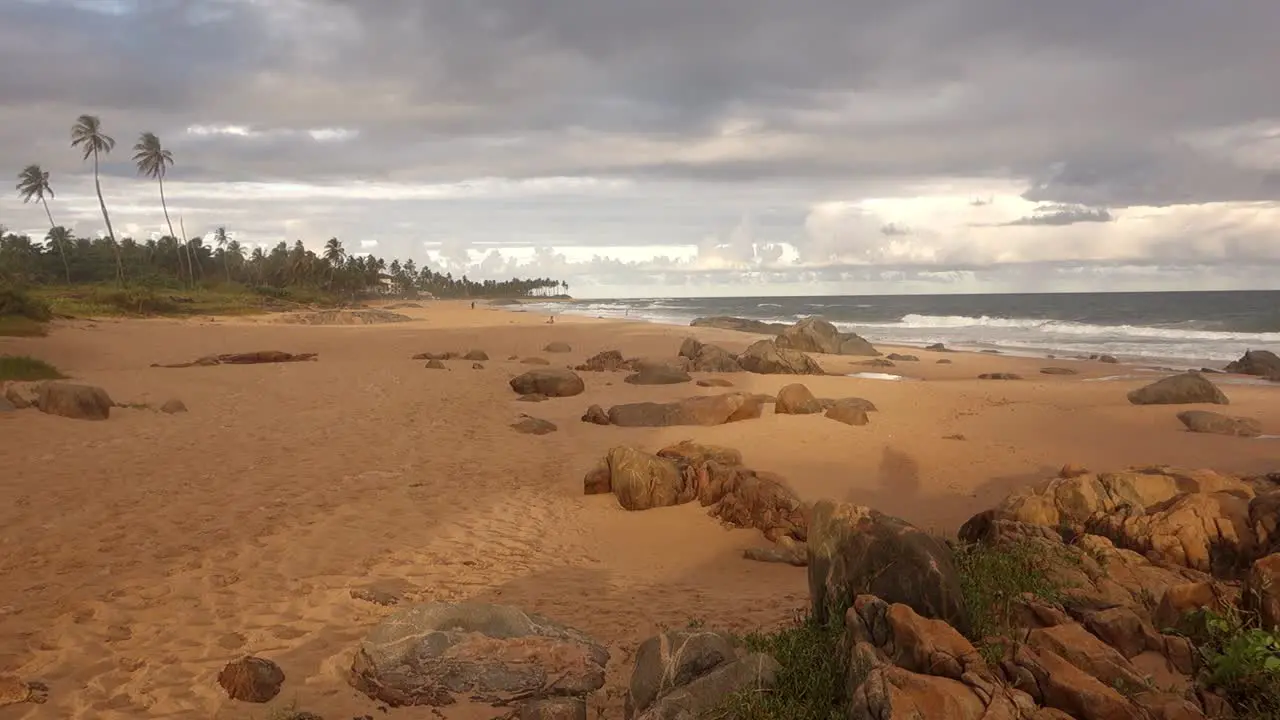 Beach Scenery