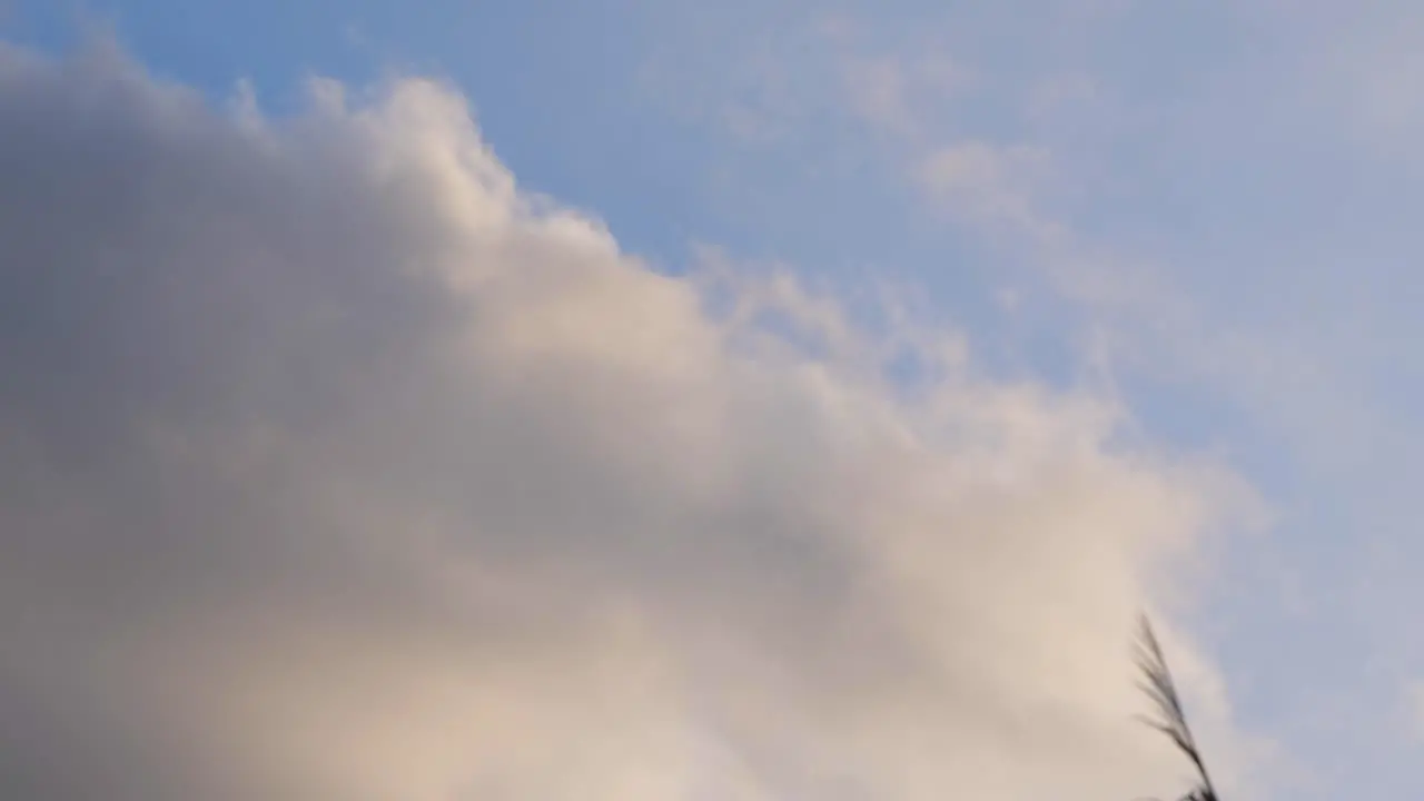 White Clouds In A Blue Sky low angle