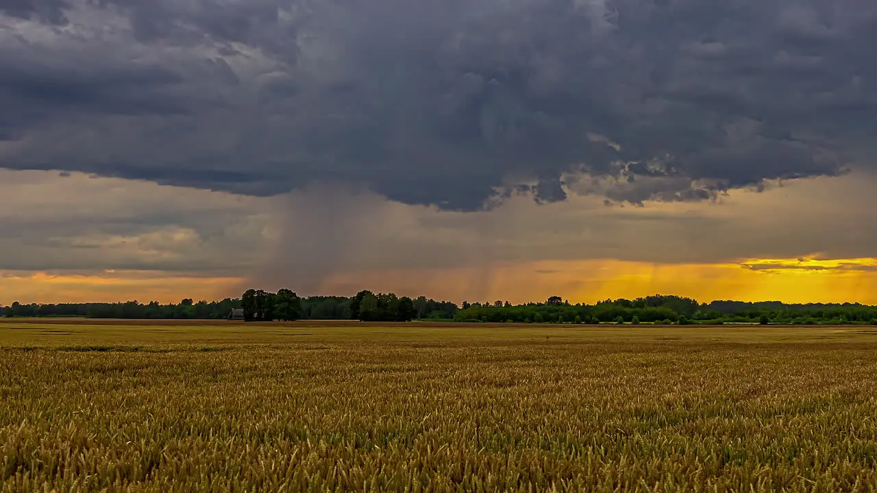 Timelapse with clouds passing by at sunset over brown wheat field