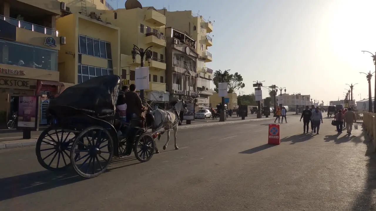 Horse Drawn Carriage Going Past On Road In Luxor