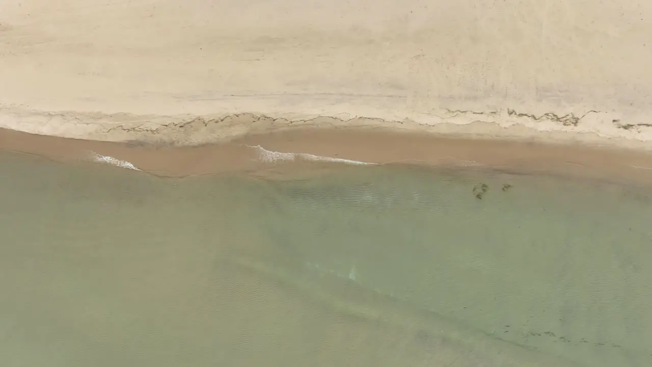 Tracking along the coastline of Lake Michigan in Autumn