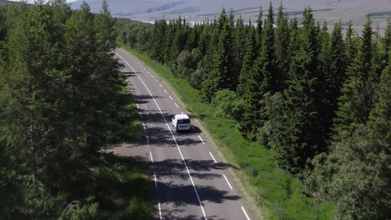 Car driving through beautiful woodland landscape in natural Iceland aerial