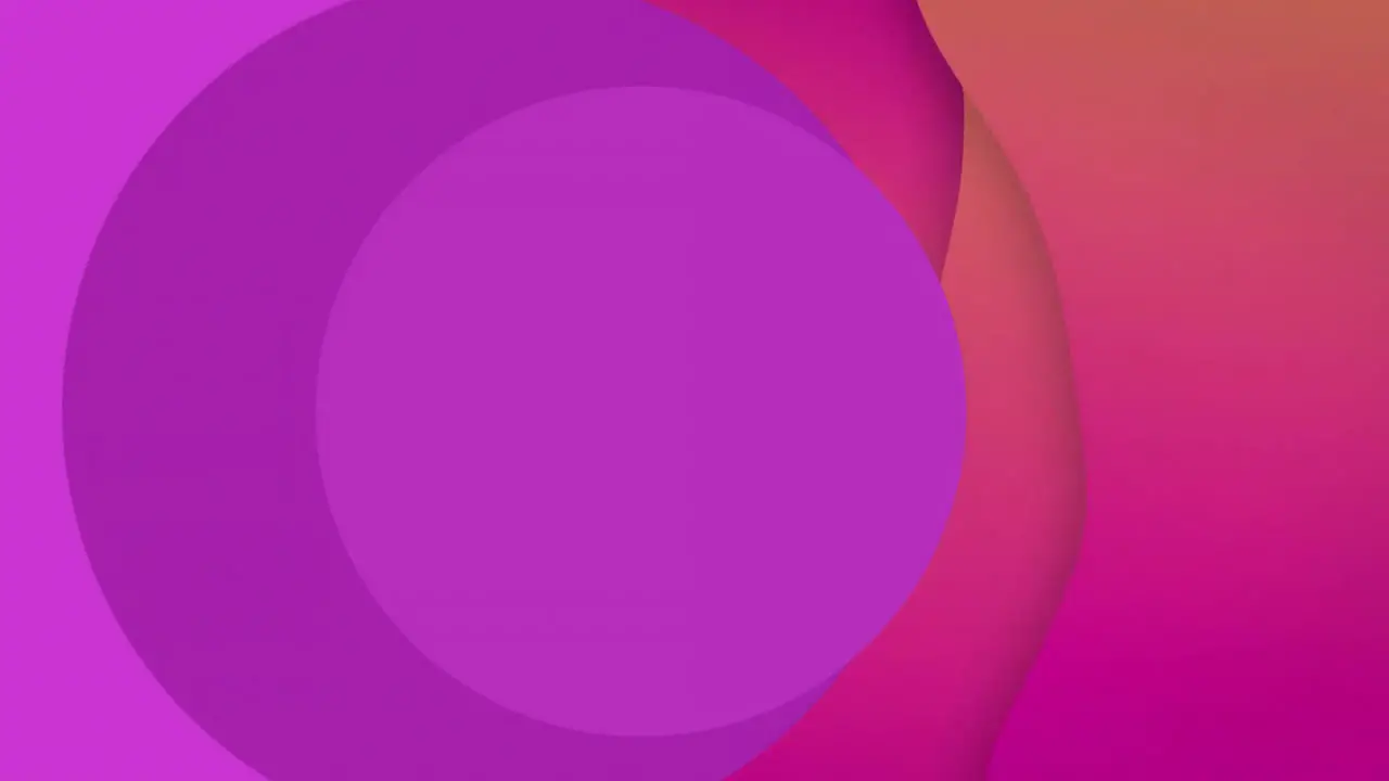 Animation of purple spots and shapes on red background