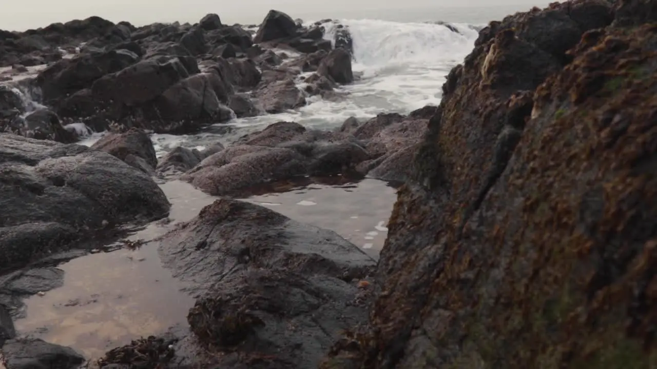 Irish Sea at beach on Northern Irish coast County Antrim-21