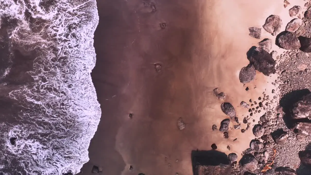 Eagles and other birds flying and casting shadows on a breathtaking Oregon beach with filtering soft light and waves gently hitting the shoreline