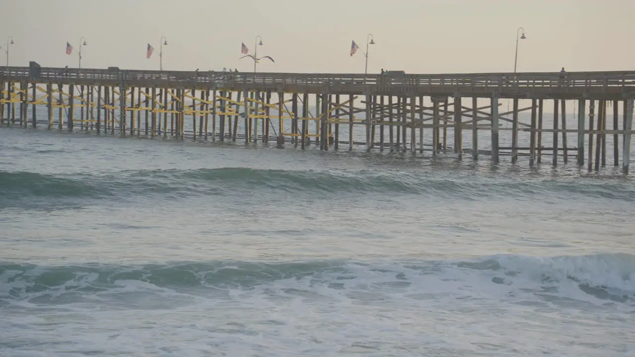 Tracking shot of Seagull flying through the air along Ventura Pier at sunset located in Southern California