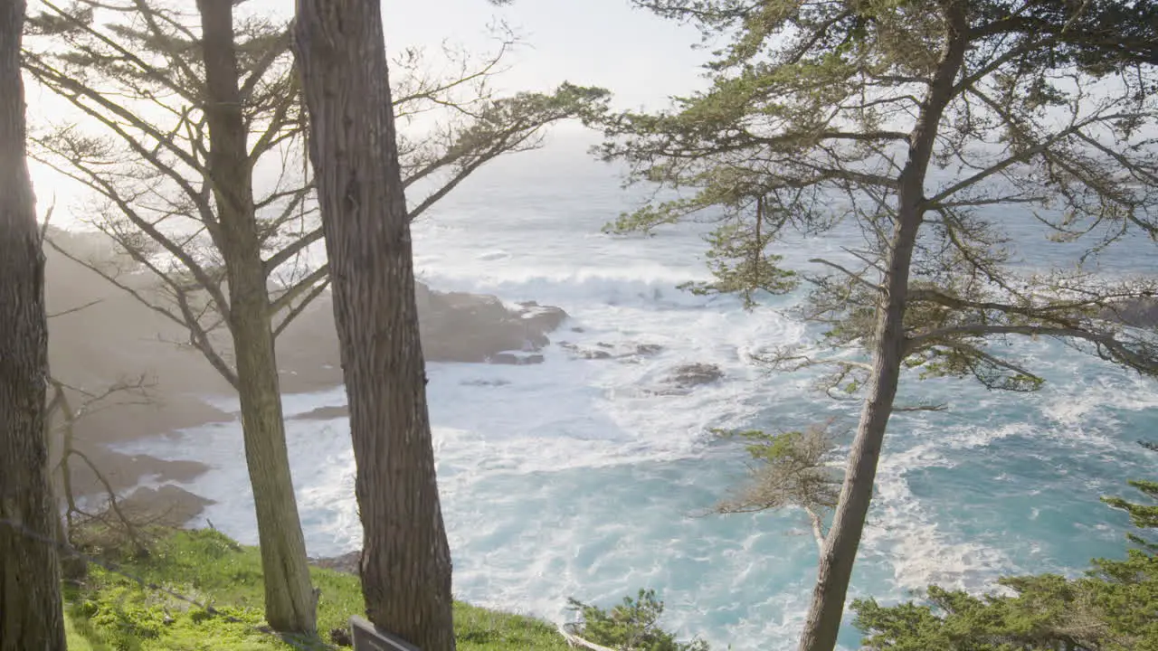 Stationary shot of Pacific Ocean through the trees on a mountainside in Big Sur California