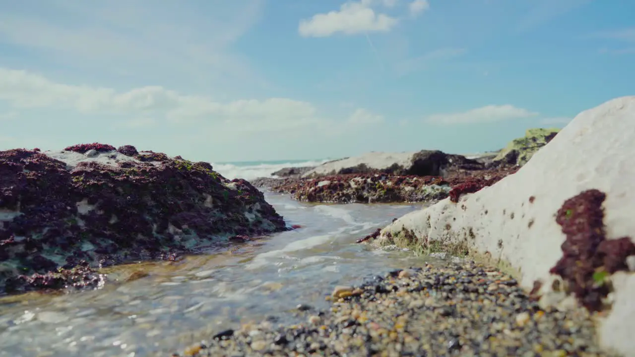 Nature Sea Ocean Shore Stones Rocks Waves Waves Crash Puddle Sunny Daylight Portugal Close-up Steady Shot 4K