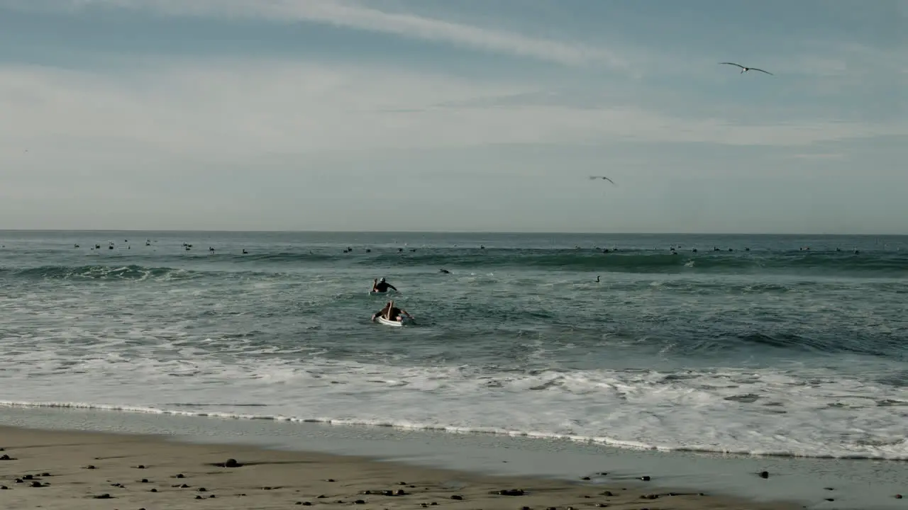 Two surfers paddle out into the Pacific Ocean at a beach in Cardiff California