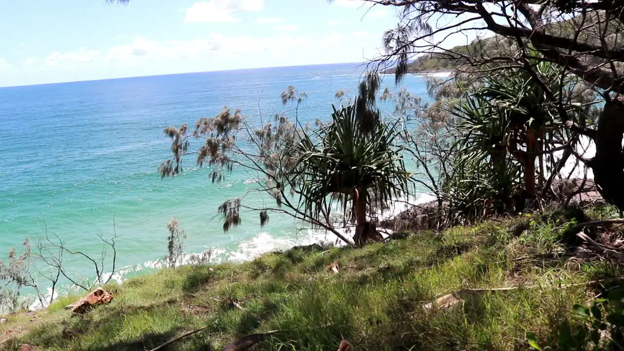 Coastal view of a national park and the Pacific Ocean