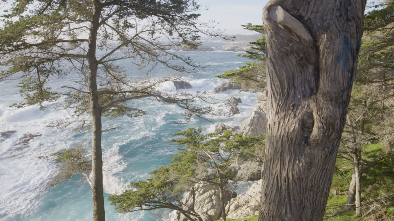 Stationary shot of Pacific Ocean from a hill side on Big Sur California beach Through trees