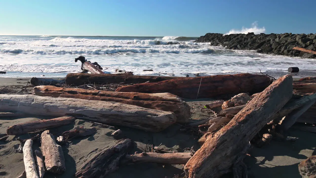 Driftwoods Against Rolling Waves During Sunny Day In Gold Beach Oregon