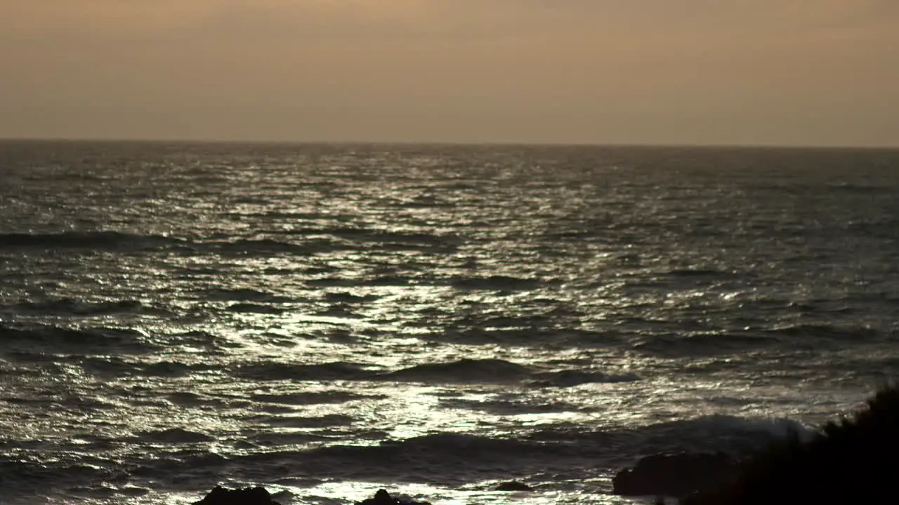 Ocean waves on horizon with birds flying by