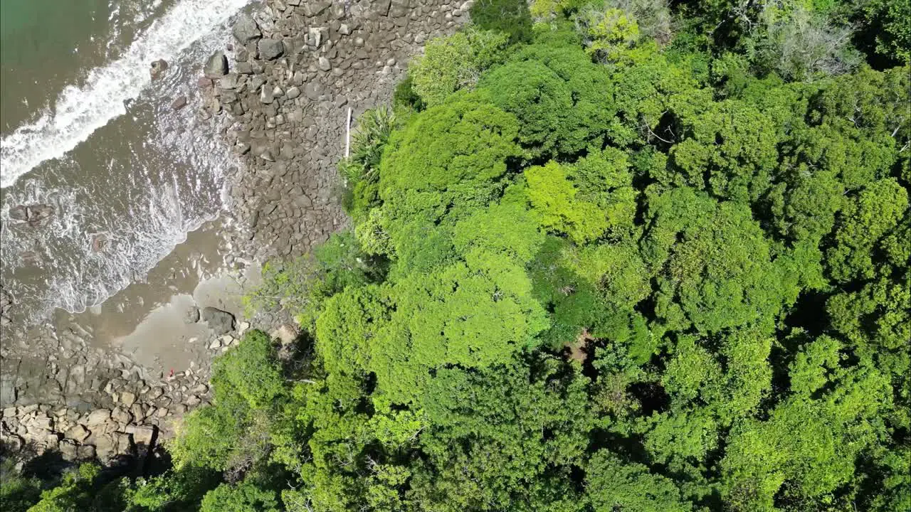 Flying from dense vegetation and revealing a small hidden beach in the coast of Costa Rica