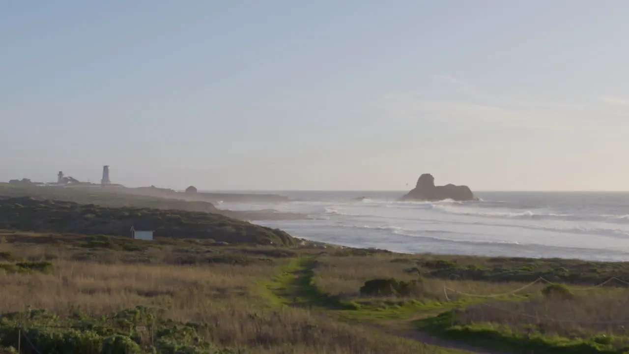 rolling waves along the west coast shore with grassy foreground in Big Sur California