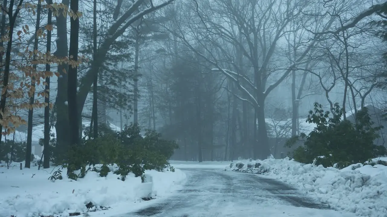 A foggy driveway during a Winter Warm Up