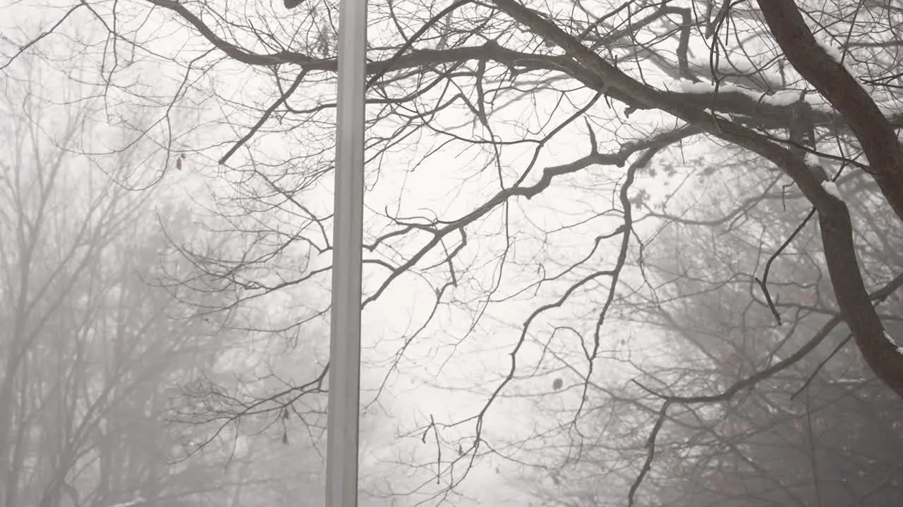 Spin tilt motion showing a foggy day and street lamp