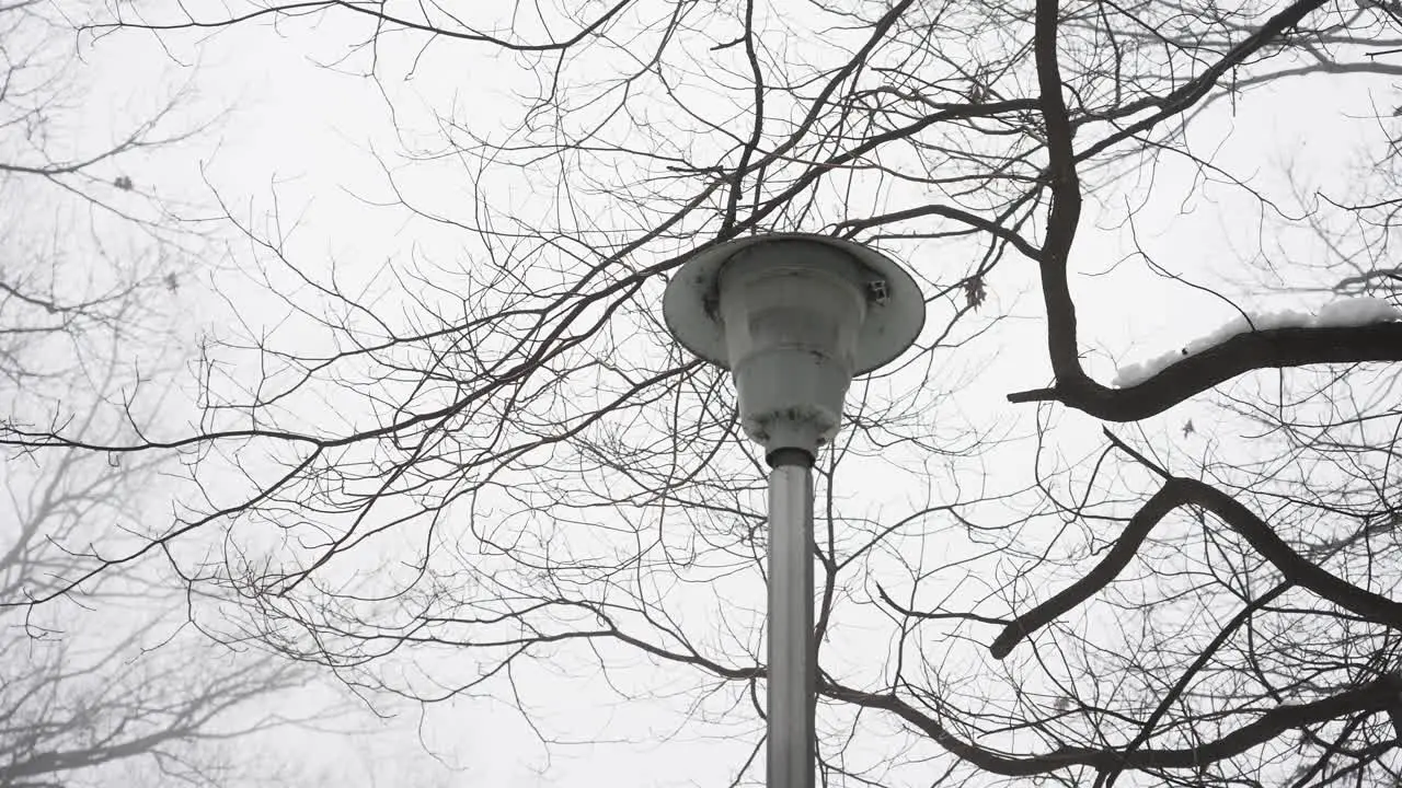 A street light shortly after dawn on a misty morning