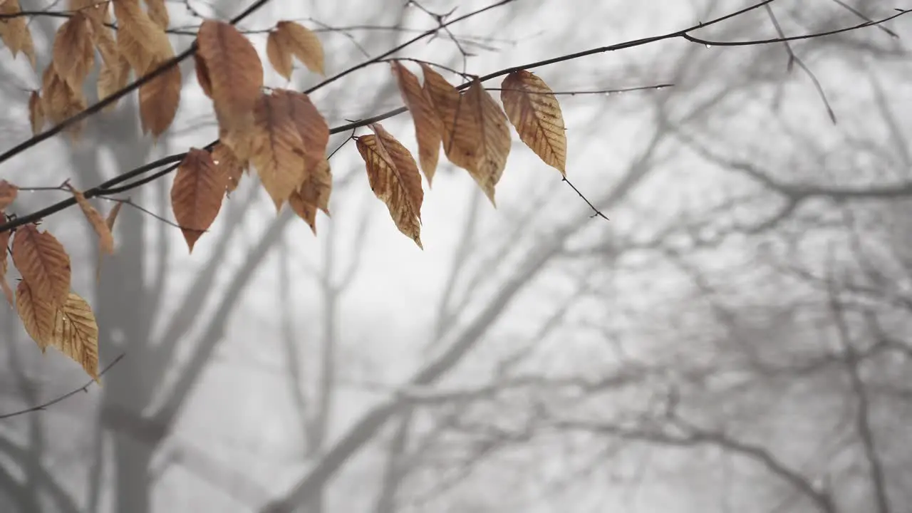 Foggy background of dense water vapor during snow melt