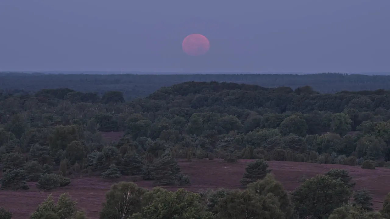 Full Moon Setting in Heath Landscape in Northern Germany