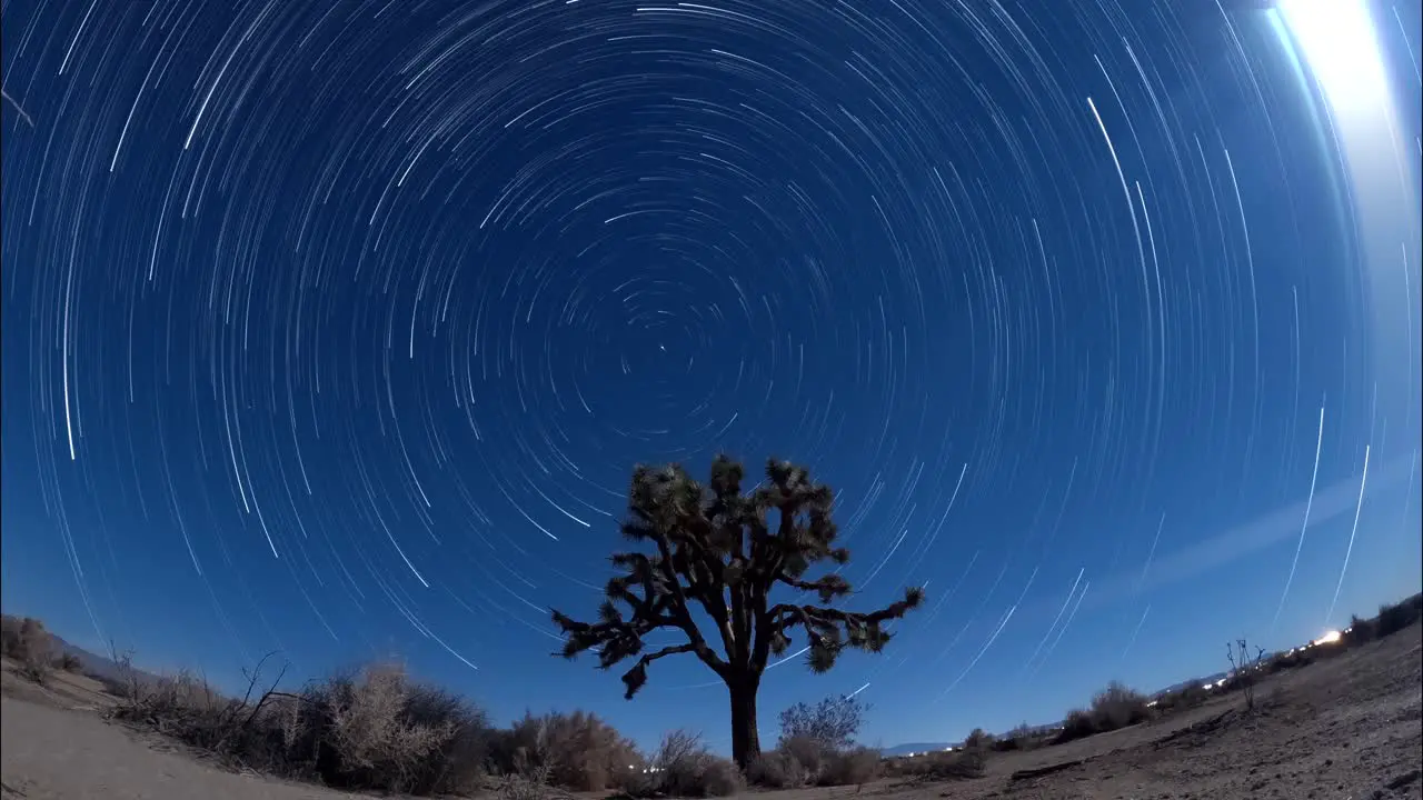 Star light trails make circles in the sky around the North Star with a Joshua tree in the foreground long exposure time lapse