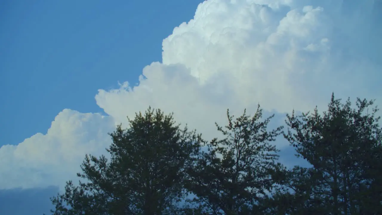 A timelapse of puffy white clouds passing by and morphing quickly over evergreens