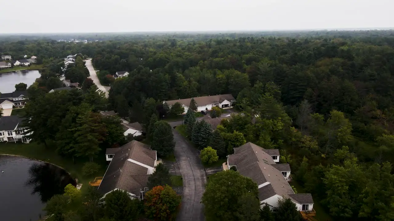 Forests of Muskegon spread across neighborhoods in late summer