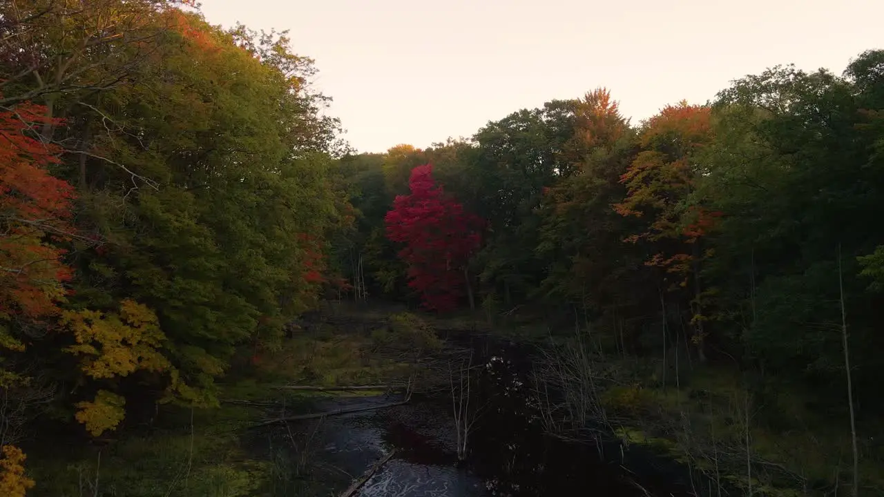 Rising over a marshland off of Forest Park in Norton Shores