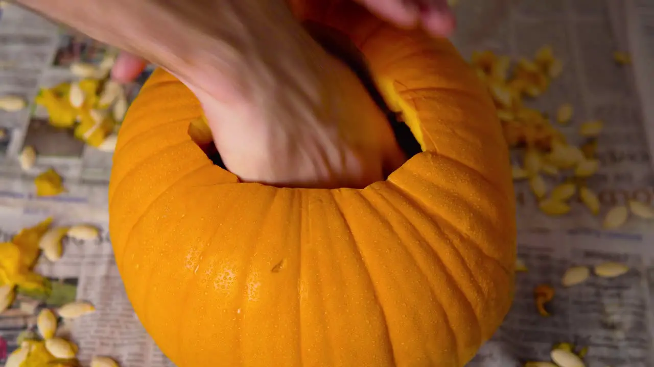 Pumpkin Carving Inside of Jack O' Lantern by Spoon and Male Hands with seeds insides Ripe vivid orange pumpkin getting carved for Halloween decoration