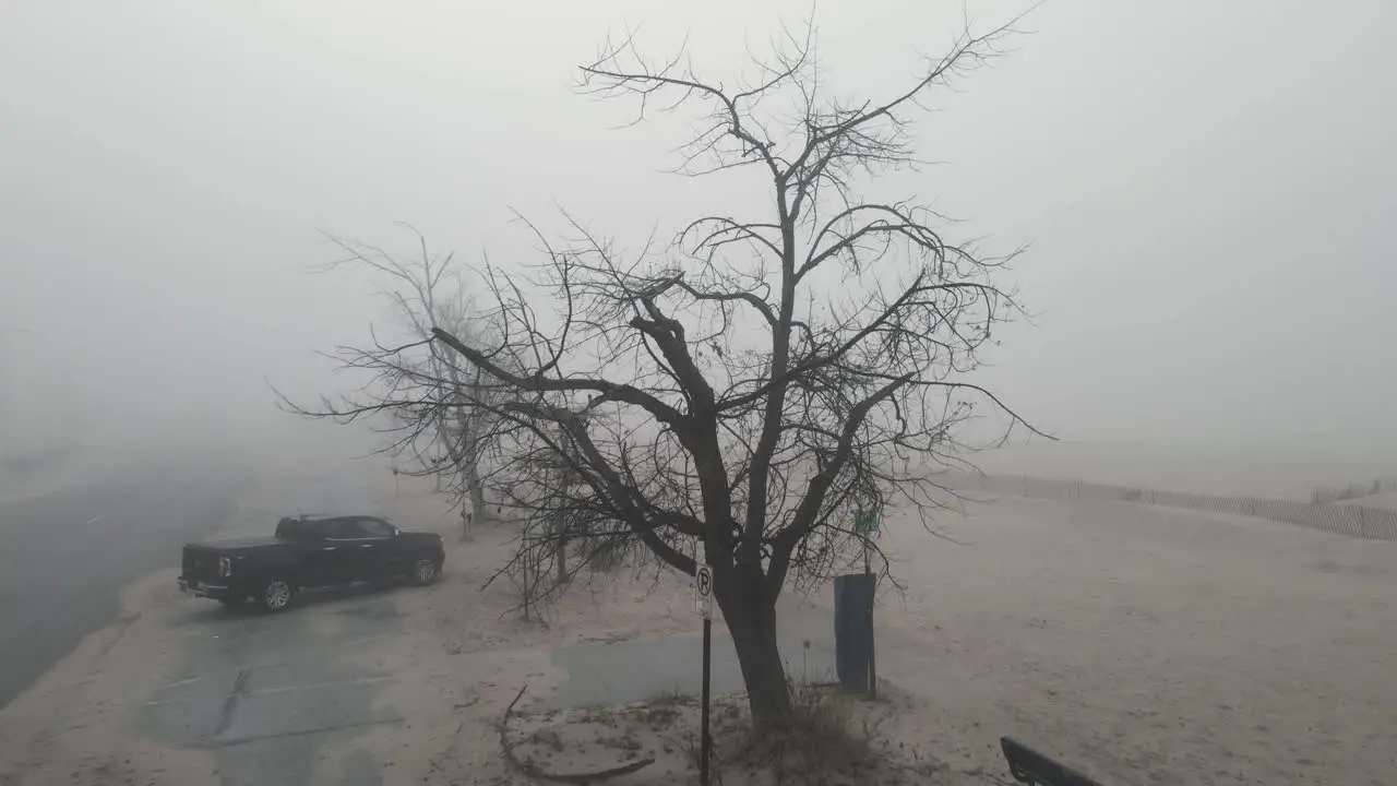 Pushing toward a wicked looking tree in a misty area