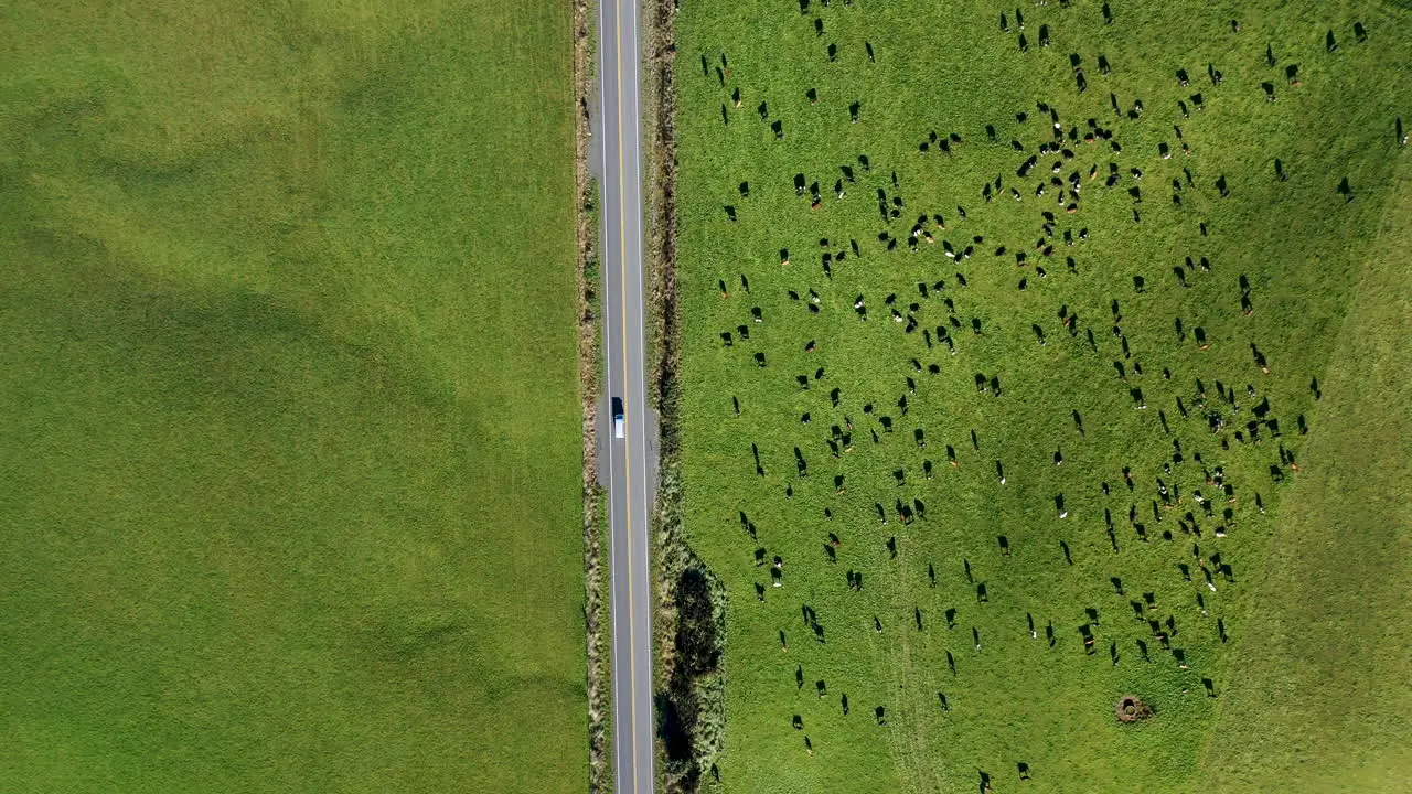 drone shot downward angle van driving in country towards mountains new zealand