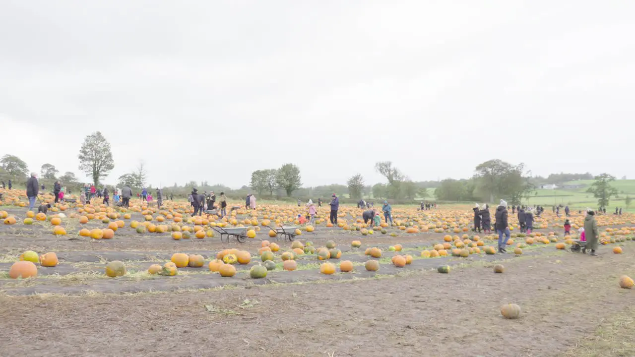 Wide angle Pumpkin farmland Scotland Halloween festival celebrations