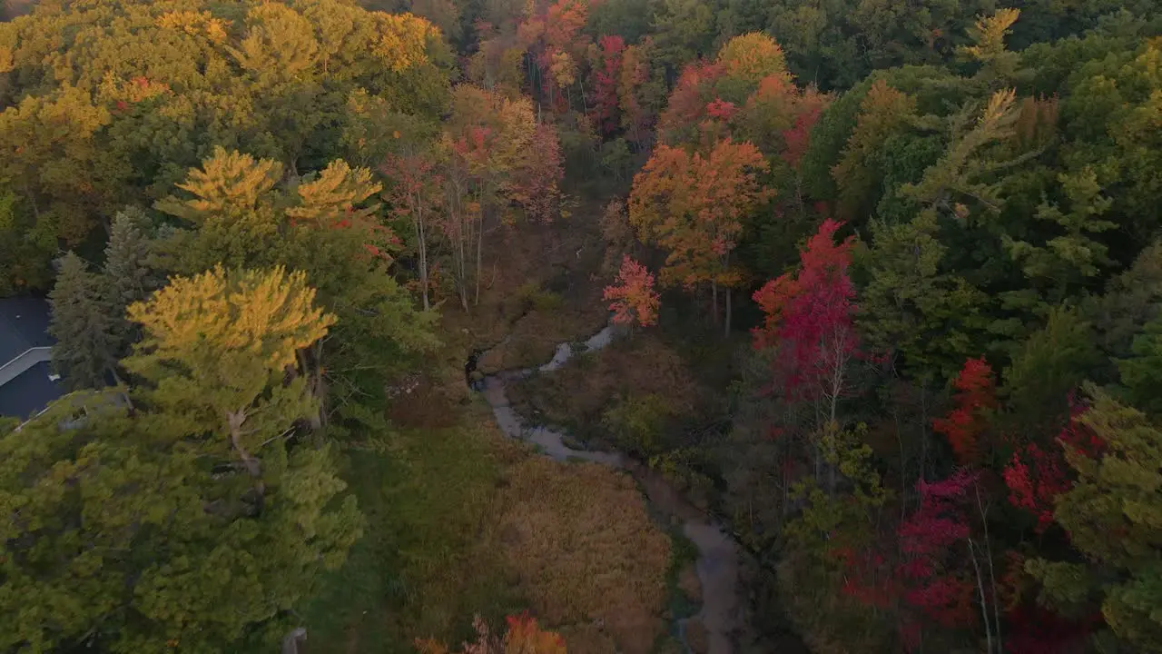 Golden Fall Colors blooming over a small marsh in West Michigan