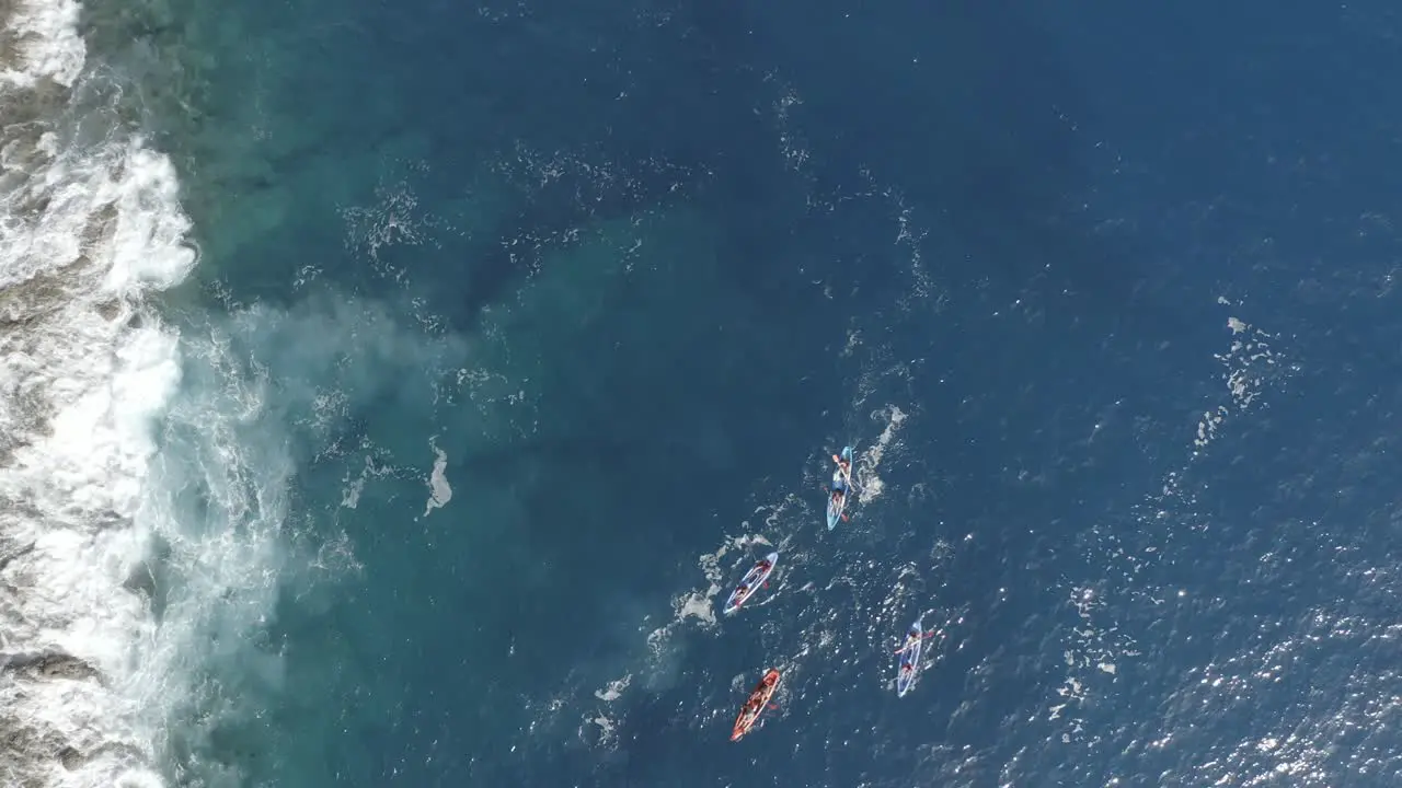 A group of friends in four canoes are paddling next to the coastline of Madeira in the beautiful turquoise water