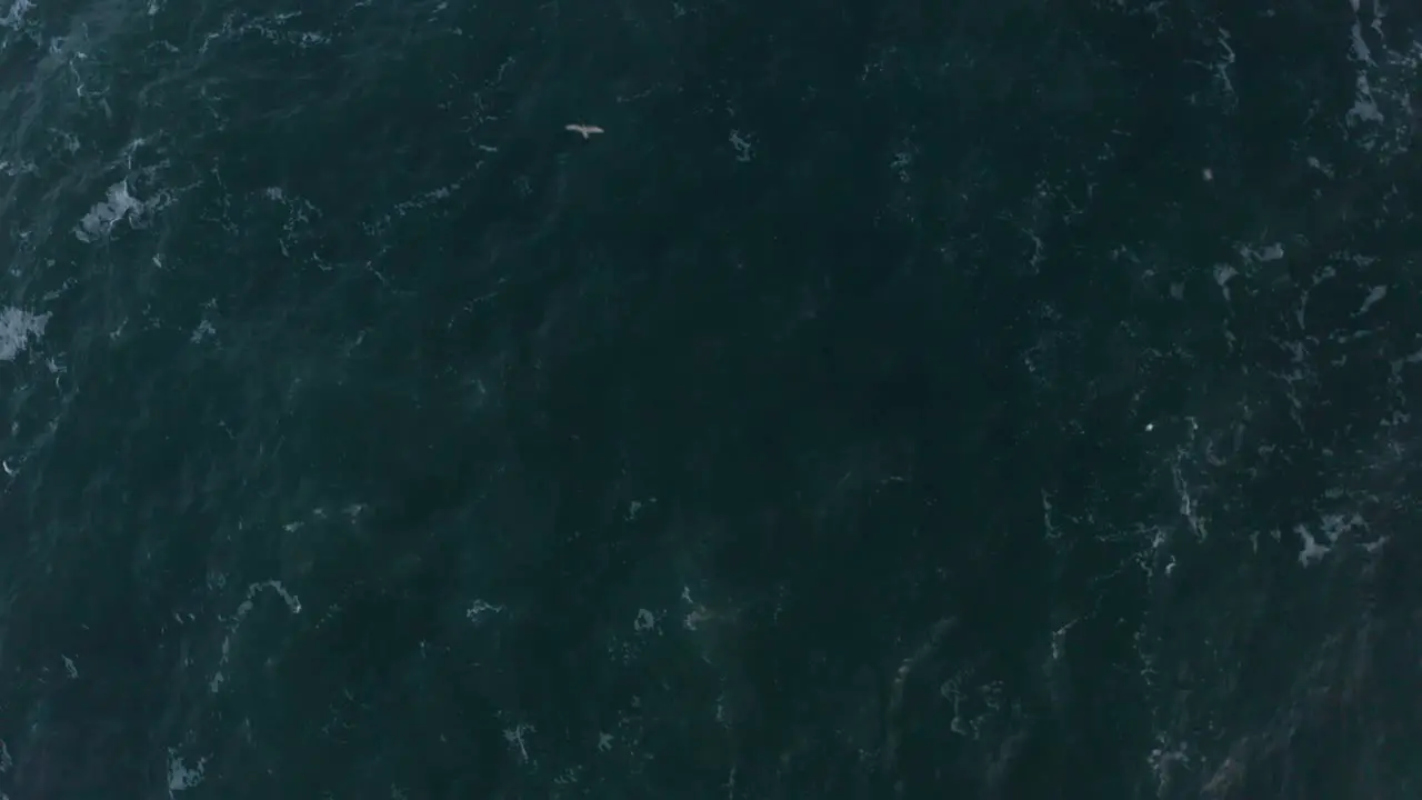 Drone shot for the coast in Iceland-11